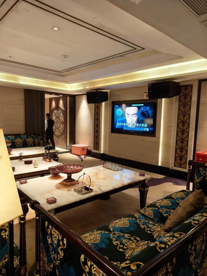 天津商务ktv引领商务ktv新模式-北辰区ktv预订